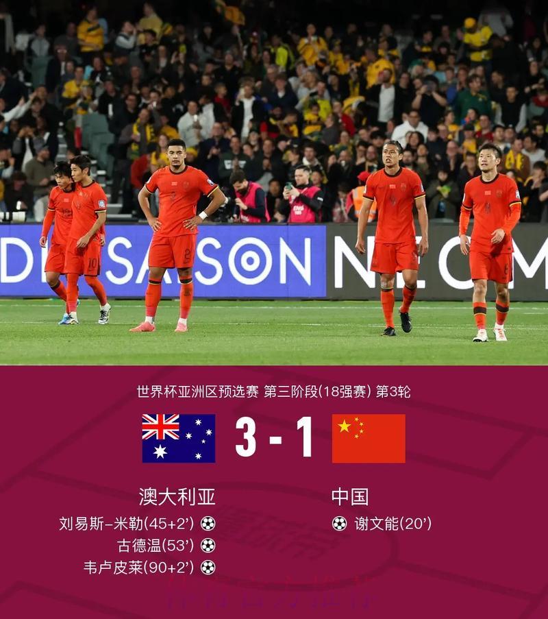 世界杯赛事比分实时追踪平台